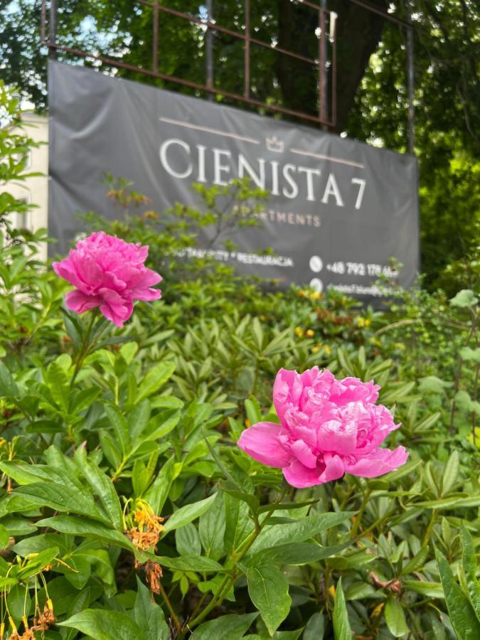 Cienista 7 Apartments Lądek-Zdrój المظهر الخارجي الصورة